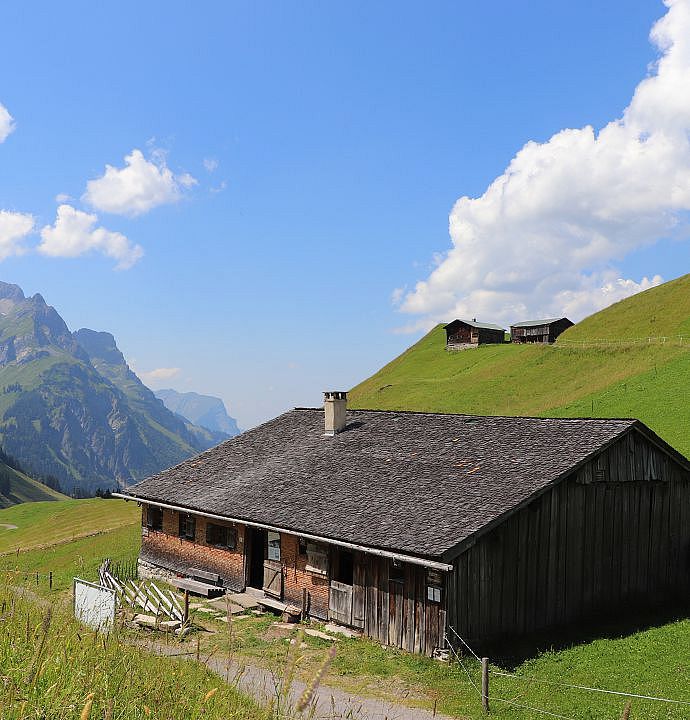 Alpe Batzen mit Bühl u. Künzelspitze_Siegi Hollaus