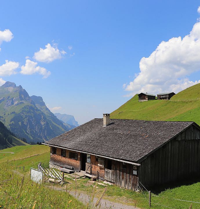 Alpe Batzen mit Bühl u. Künzelspitze_Siegi Hollaus