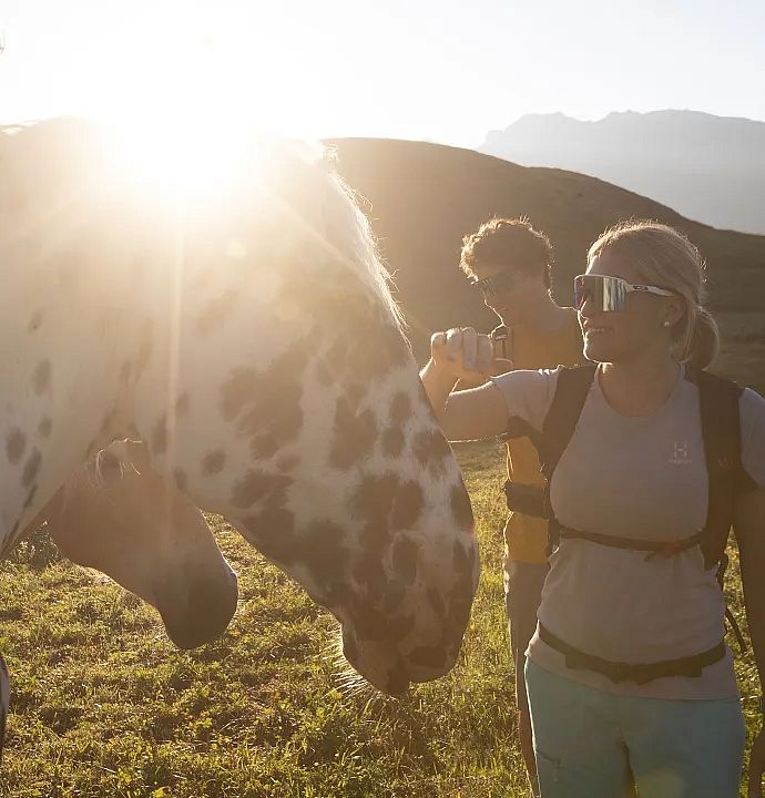 Bergsommer am Arlberg im Hotel Jägeralpe