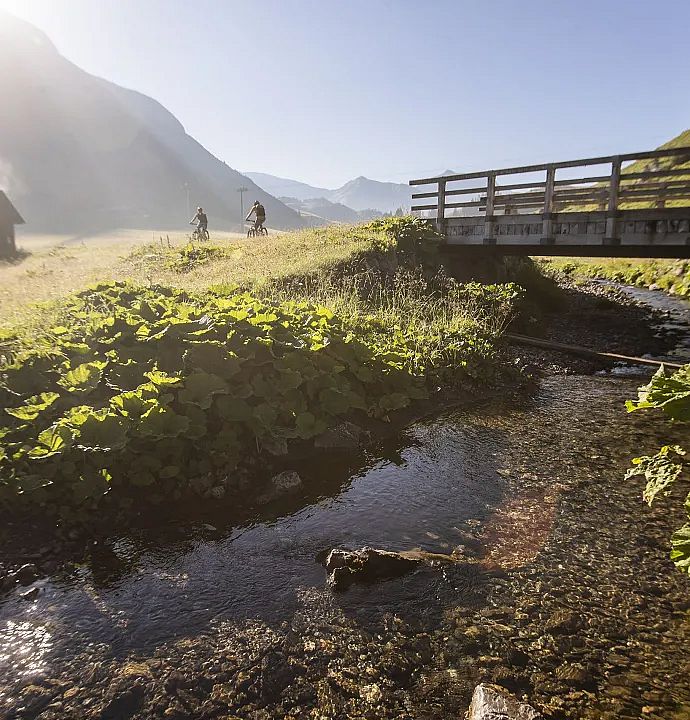 Mountainbiking in the Ski- and Hikinghotel Jägeralpe