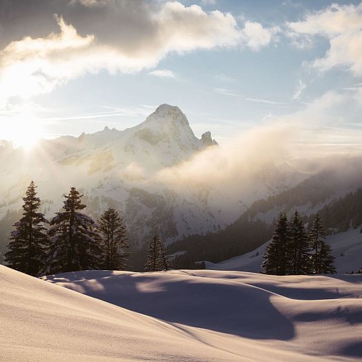 medium-unberuehrte-naturlandschaft-im-winter-mit-blick-auf-bergspitzen-am-arlberg