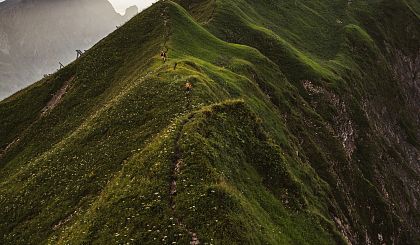 Alpenblumenwanderung zur Höferspitze