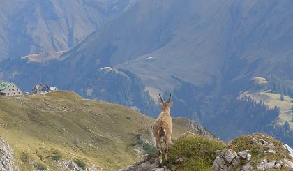 Mindelheimer mountain hut