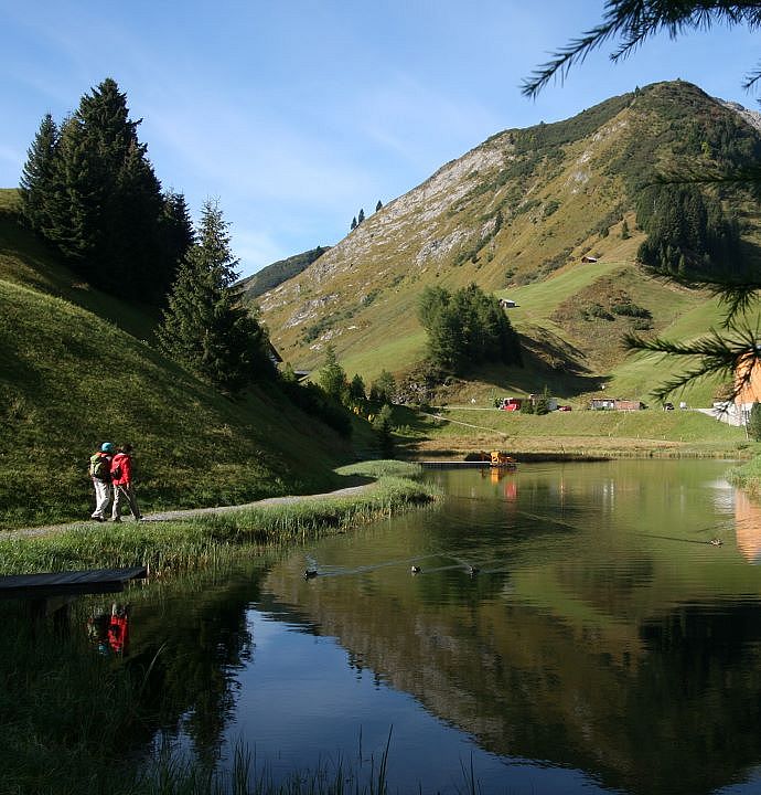 wanderung-im-sommer-zum-naturbadeteich-in-warth-1-1