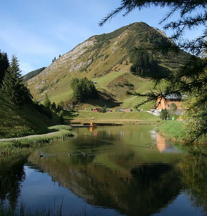 wanderung-im-sommer-zum-naturbadeteich-in-warth-2-1