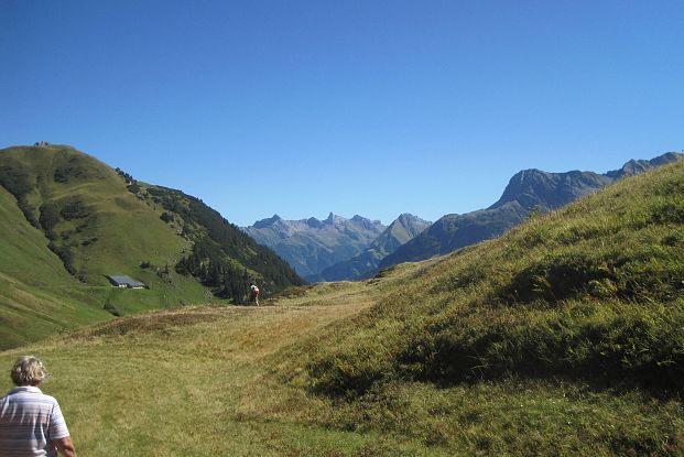 beerenlesen-in-warth-am-arlberg