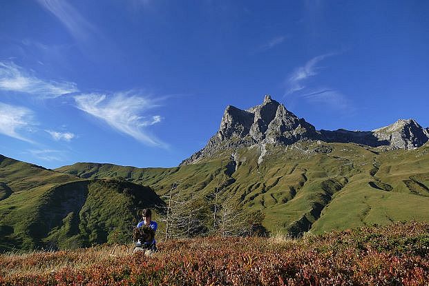 kranzbinden_in_der_natur_jaegeralpe_warth_am_arlberg