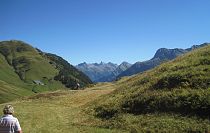 beerenlesen-in-warth-am-arlberg