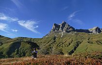 kranzbinden_in_der_natur_jaegeralpe_warth_am_arlberg