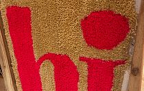 Tufting_Ulrike Diebow1