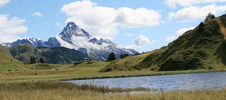 Bergsommer am Arlberg im Hotel Jägeralpe