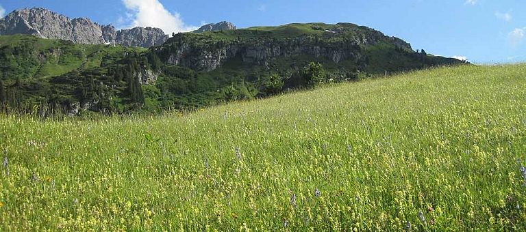 Bergsommer am Arlberg im Hotel Jägeralpe