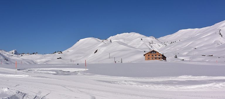 Schneebedeckte Loipen rund um das Skihotel Jägeralpe