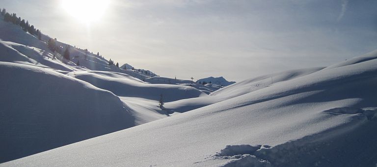 Traumhafte Winterlandschaft im Gebiet Warth-Schröcken